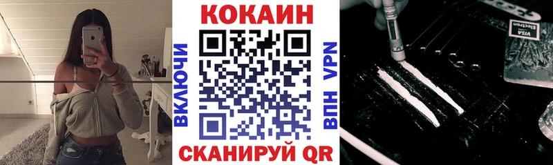 MEGA сайт  Салаир  COCAIN Fish Scale 