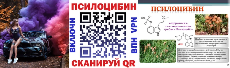 Псилоцибиновые грибы мицелий  Салаир 